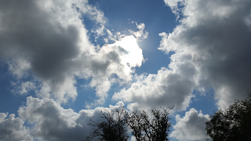 Park «Pendleton Park», reviews and photos, 1427 Morgan Blvd, Harlingen, TX 78550, USA