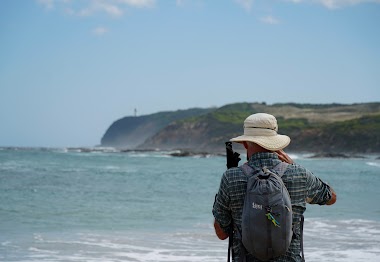 Great Ocean Walk Tours