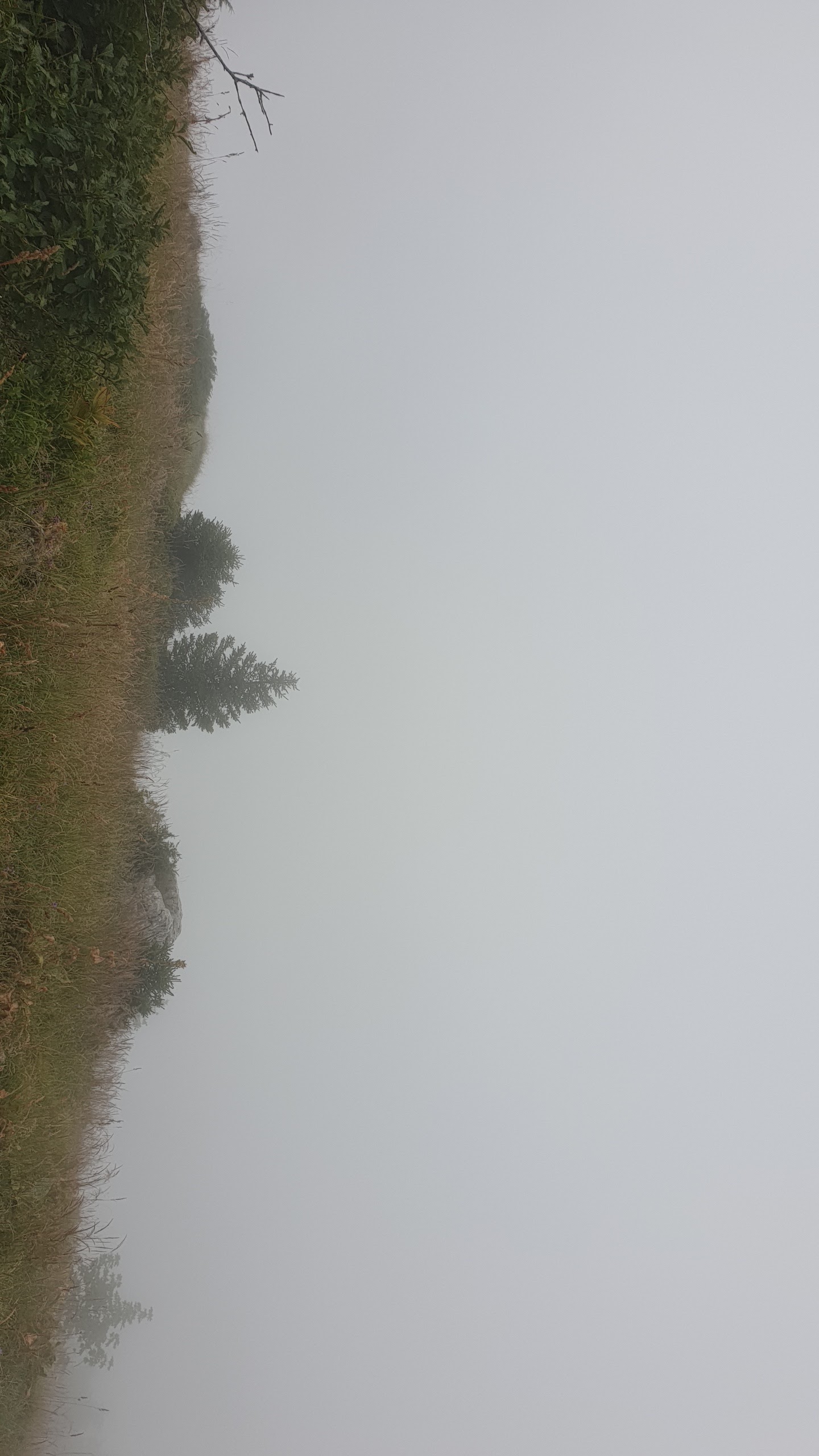 Photo n° 15 de l'avis de El.a fait le 24/08/2021 à 11:02