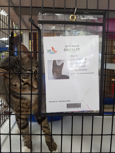 Pet Supply Store «Pet Supermarket», reviews and photos, 2696 N University Dr, Sunrise, FL 33322, USA