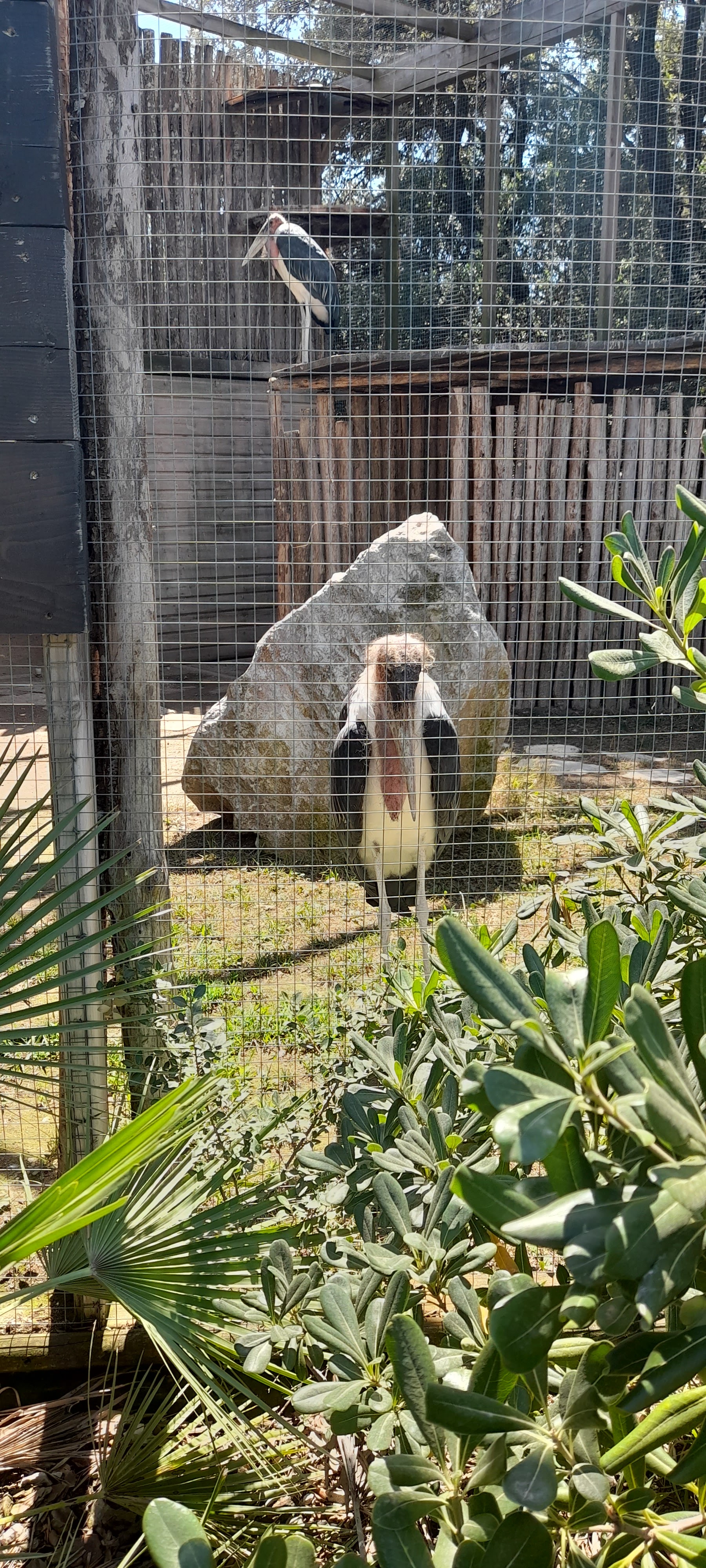 Photo n° 7 de l'avis de Sebastien.a fait le 14/08/2023 à 17:22