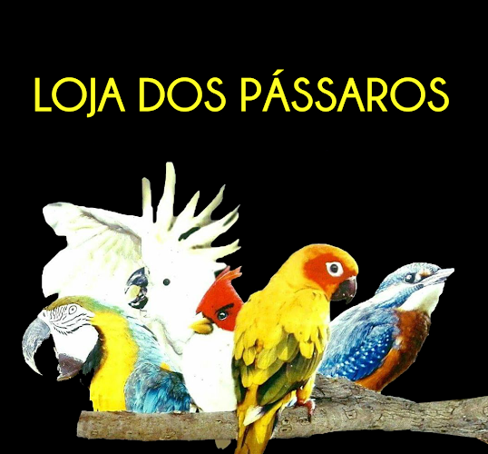 Avaliações doLoja Dos Pássaros em Guimarães - Loja