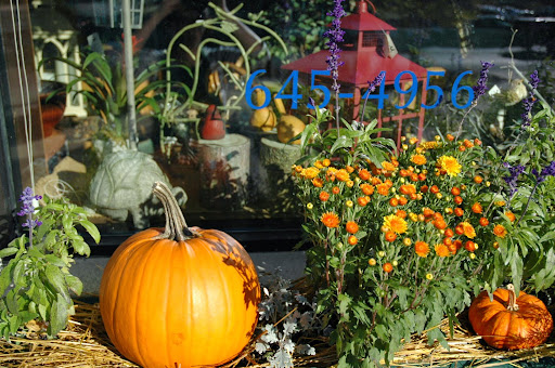 Florist «Forget-Me-Not Florist», reviews and photos, 501 Water St S, Northfield, MN 55057, USA