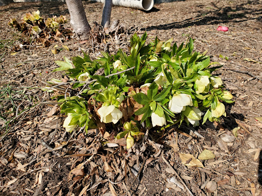 History Museum «Benjamin Banneker Historical», reviews and photos, 300 Oella Ave, Catonsville, MD 21228, USA