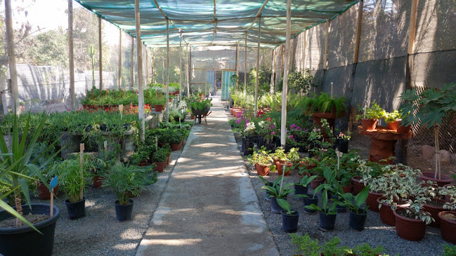 Vivero Jardin Azapa - Centro de jardinería