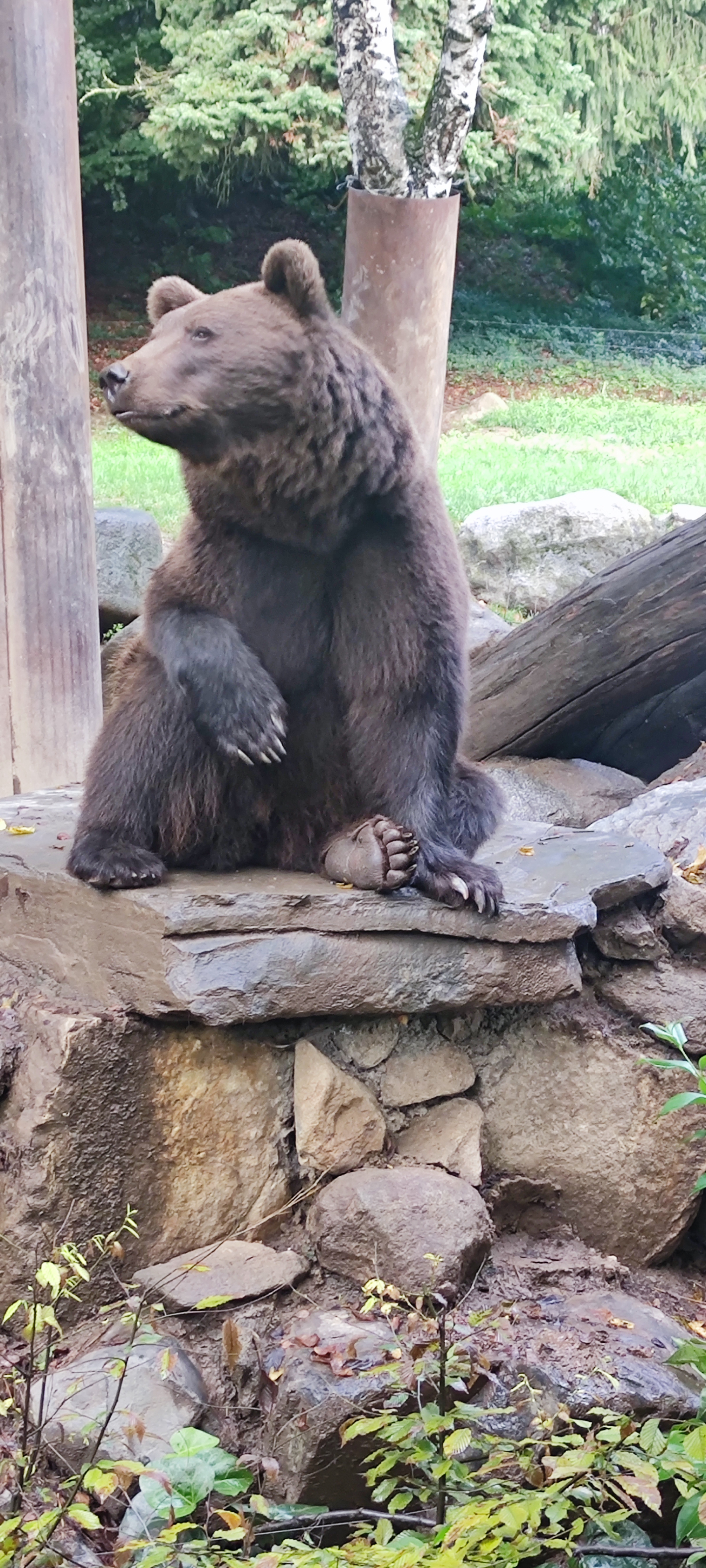 Photo n° 3 de l'avis de Gary.e fait le 02/09/2023 à 13:07