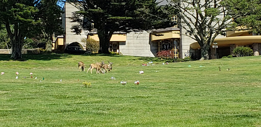 Funeral Home «Skylawn Funeral Home & Memorial Park», reviews and photos, CA-92 & Skyline Blvd, San Mateo, CA 94402, USA