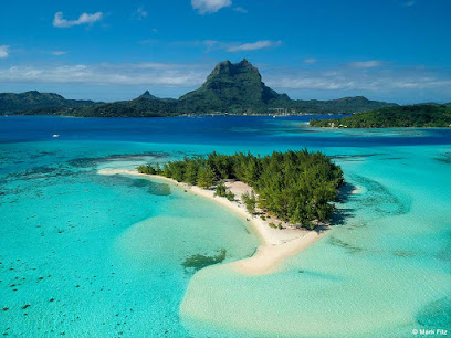Tahiti Tourisme - New Zealand