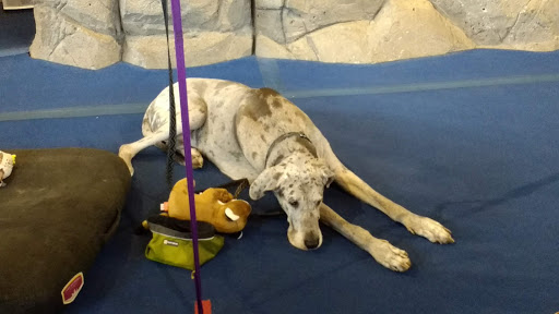 Outdoor Sports Store «Nantahala Outdoor Center Gatlinburg», reviews and photos, 1138 Parkway, Gatlinburg, TN 37738, USA