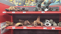 Petco - Photo 7 - Car repair in San Diego, CA, San Diego