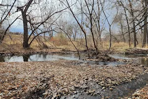 Coal Creek Corridor Open Space image