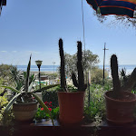 Photo n°3 de l'avis de Sandra.o fait le 06/09/2021 à 10:33 sur le  Restaurant Al Bosco à Grado