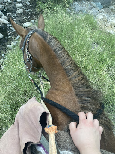 Horseback Riding Service «Spur Cross Stables», reviews and photos, 44029 N Spur Cross Rd, Cave Creek, AZ 85331, USA