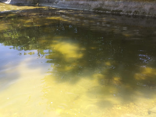 Park «Waterview Park», reviews and photos, 1700 Whitecliff Dr, Duncanville, TX 75137, USA