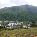 Photo n°1 de l'avis de Silvan.e fait le 19/05/2019 à 08:22 sur le  Weingut Trossen - Traben Trarbach à Traben-Trarbach