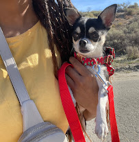 Maddiethedogmaven - Photo 5 - Car repair in , Santa Clarita