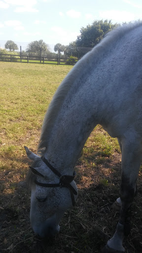 Tourist Attraction «Panther Ridge Conservation Center», reviews and photos, 14755 Palm Beach Point Blvd, Wellington, FL 33414, USA