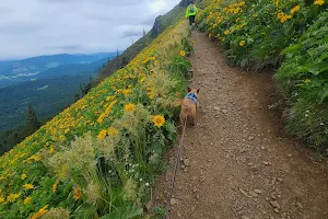 Dog Mountain Trail image