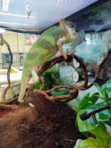 Pet Supply Store «Petco Animal Supplies», reviews and photos, 6720 Fox Centre Pkwy, Gloucester Courthouse, VA 23061, USA