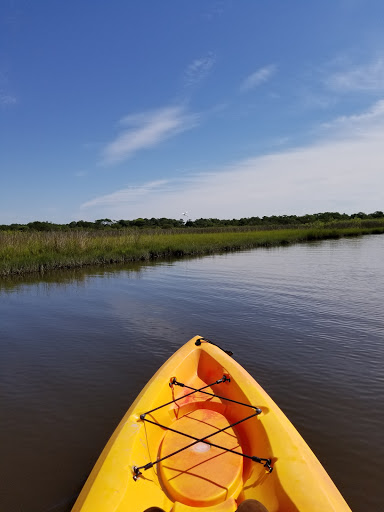 National Park «Assateague Island National Seashore», reviews and photos, 7206 National Seashore Ln, Berlin, MD 21811, USA