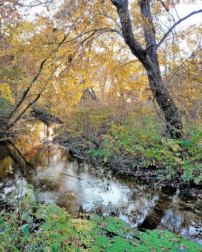 Nature Preserve «Brookside Preserve», reviews and photos, N Brookside Ave, Roosevelt, NY 11575, USA