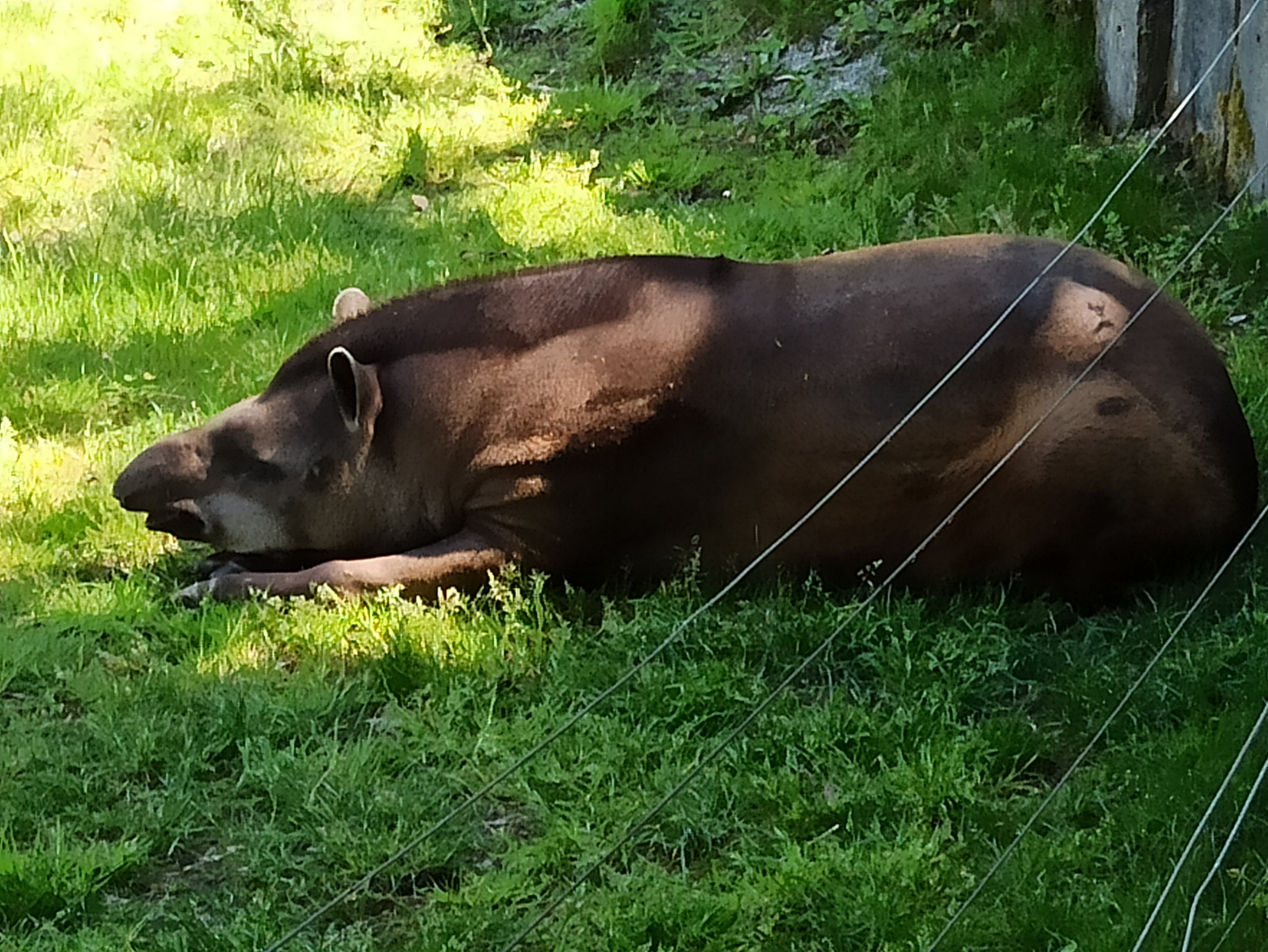 Photo n° 7 de l'avis de Johannes.o fait le 21/02/2019 à 14:04