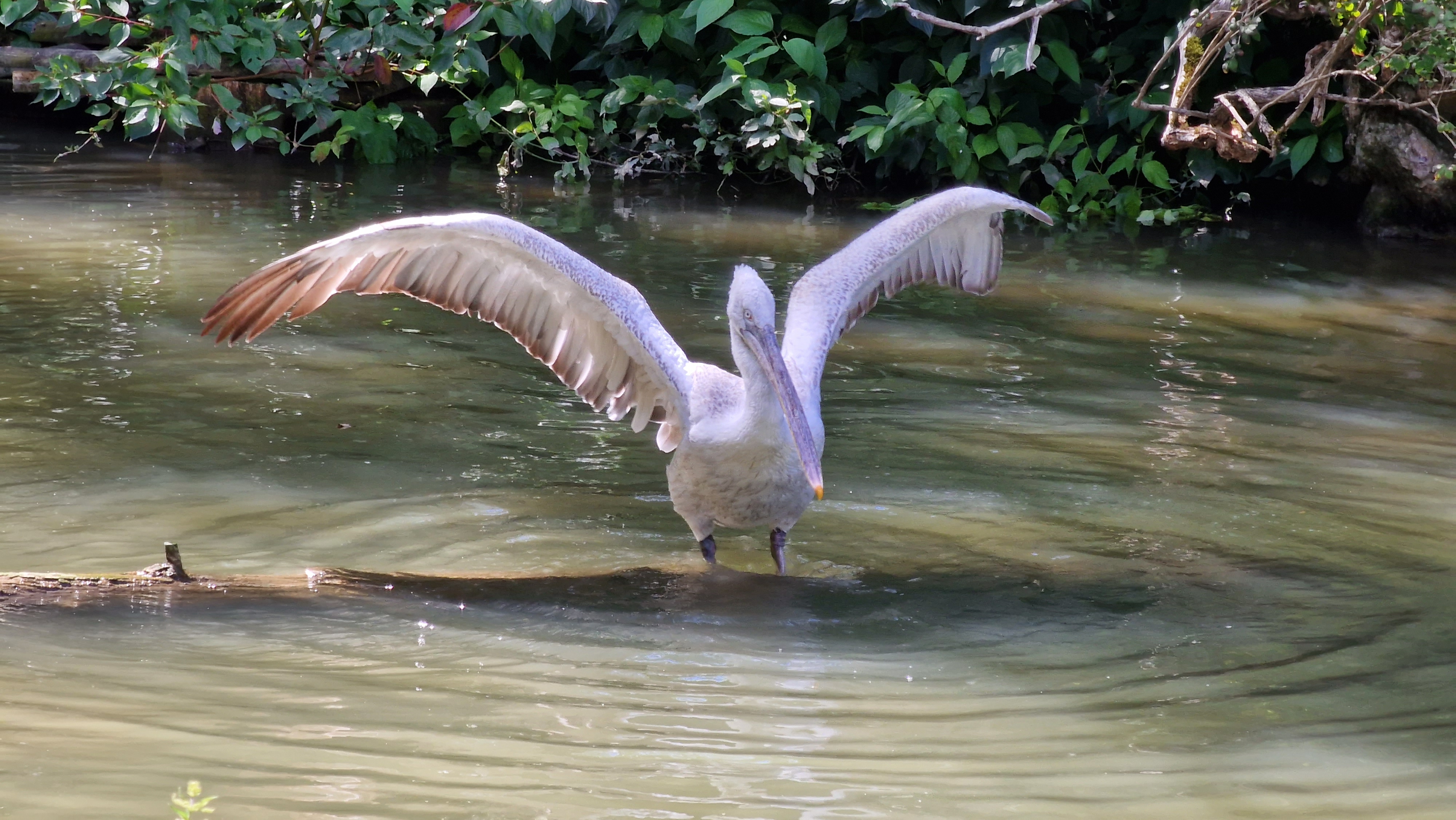 Photo n° 6 de l'avis de Xavier.E fait le 07/08/2022 à 10:27