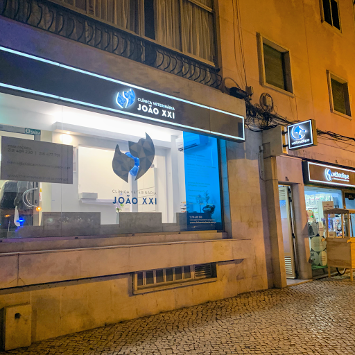 Clínica Veterinária João XXI Lisbon