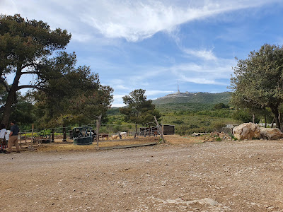 La Chevauchée à Marseille