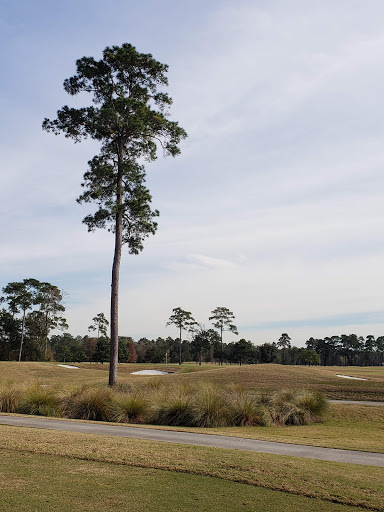 Golf Resort «Golf Club of Houston», reviews and photos, 5860 Wilson Rd, Humble, TX 77396, USA