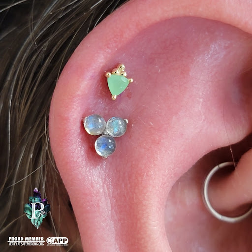 Explore draco tattoo ideas, creative tattoo ideas in Santa Clara, available at Vamp Body Art piercings and tattoo studio