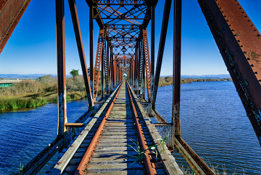 Bridge Salinas