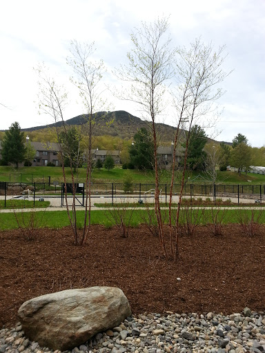 Ski Resort «Jay Peak Resort», reviews and photos