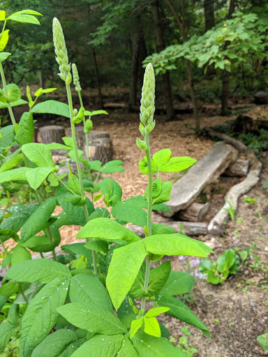 Science Museum «South Shore Natural Science Center», reviews and photos, 48 Jacobs Ln, Norwell, MA 02061, USA
