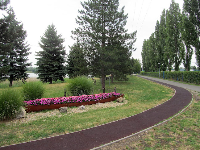 Hozzászólások és értékelések az Omszk Park futókör-ról