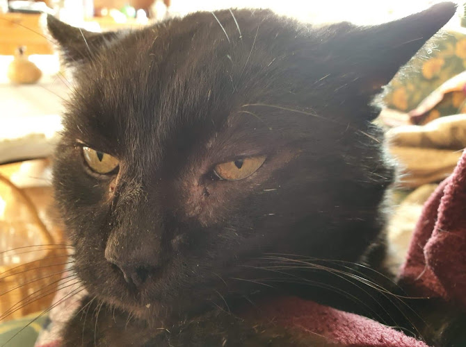  i Björkhemsvägen 19, 291 54 Kristianstad