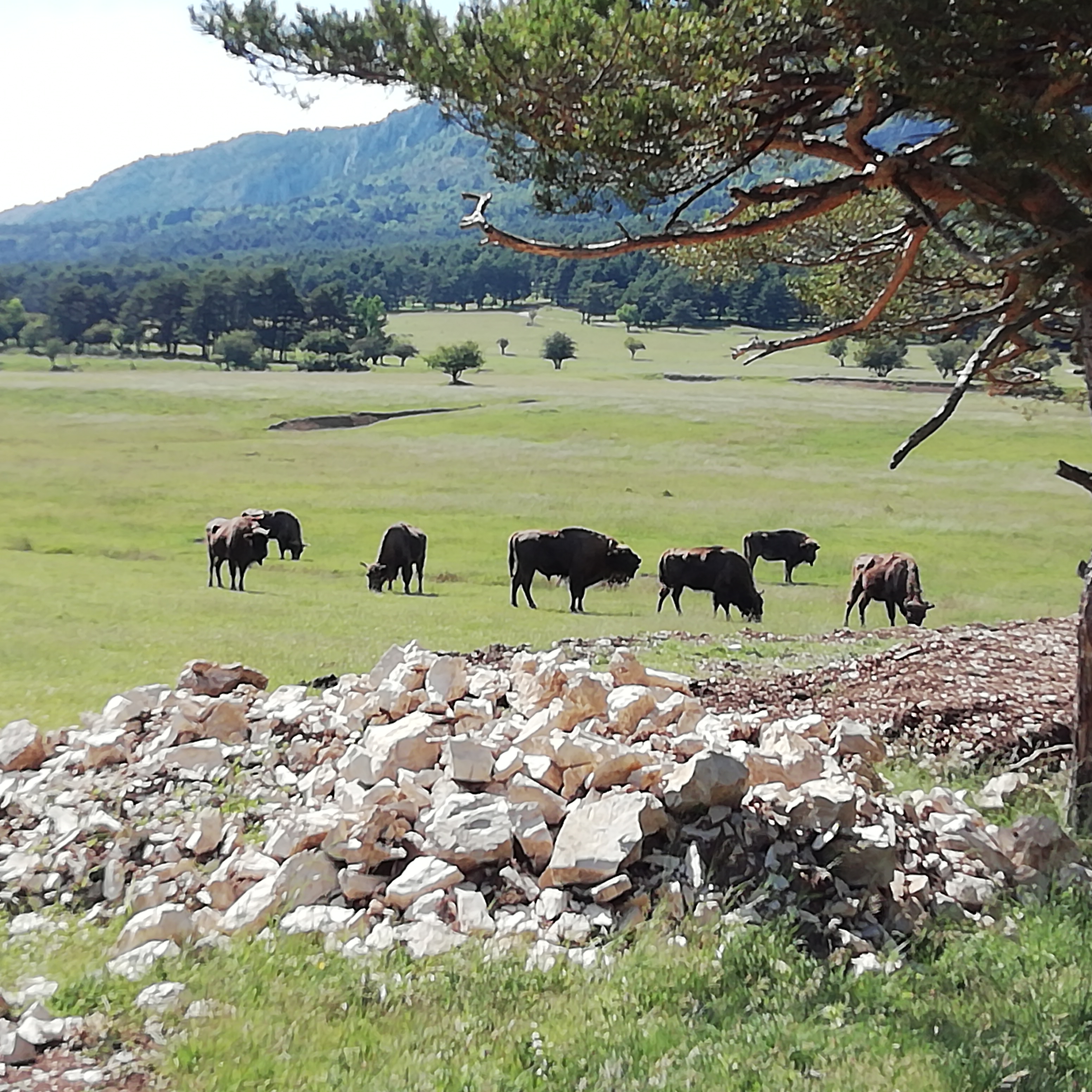 Photo n° 7 de l'avis de Patrice.e fait le 18/07/2020 à 09:41