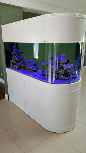 Pet Store «Tanks A Lot Aquariums», reviews and photos, 6680 Lantana Rd, Lake Worth, FL 33467, USA