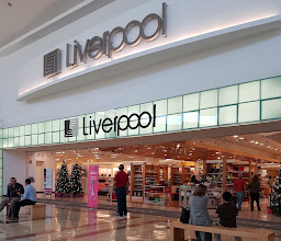 Liverpool Chihuahua photo