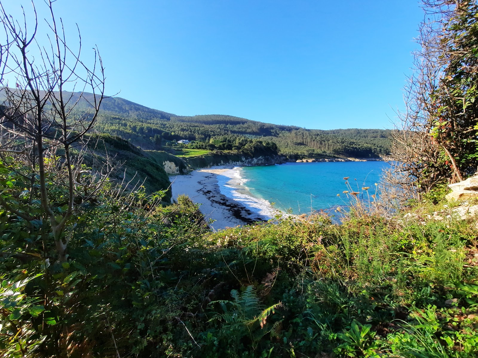 Foto van Praia de Vilela gelegen in een natuurlijk gebied