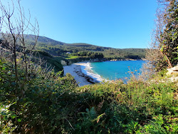 Praia de Vilela'in fotoğrafı doğal alan içinde bulunmaktadır