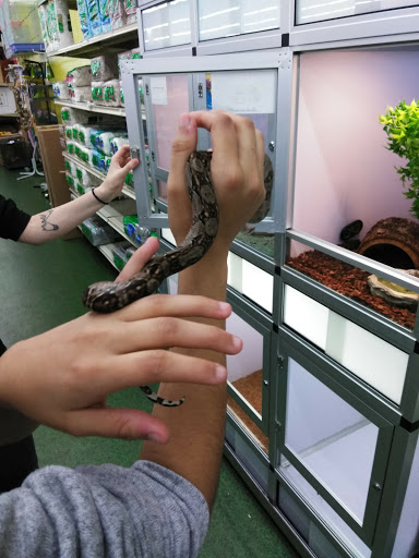 Pet Store «Pet Supermarket, Inc.», reviews and photos, 2446 N University Dr, Coral Springs, FL 33065, USA