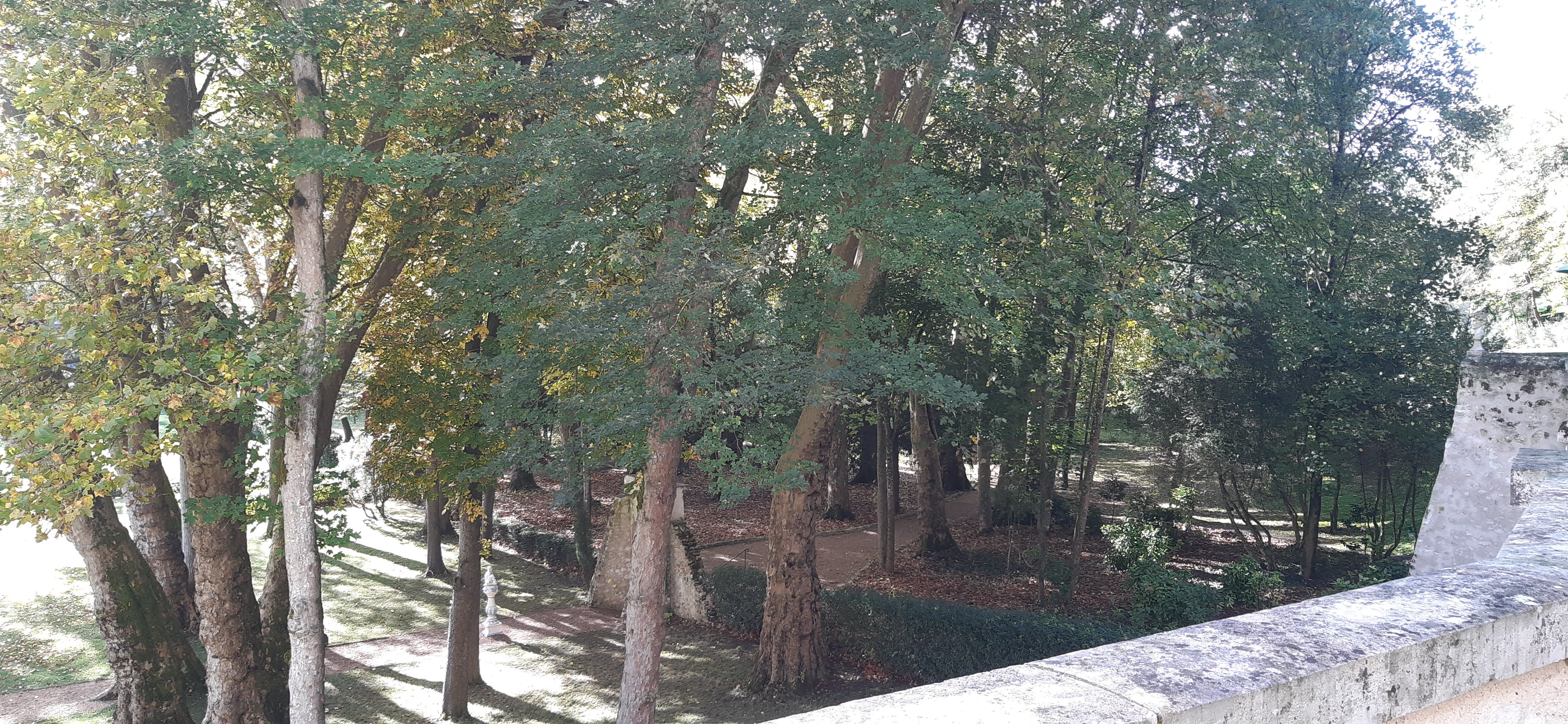 Photo n° 2 de l'avis de Guilain.e fait le 31/10/2023 à 15:28