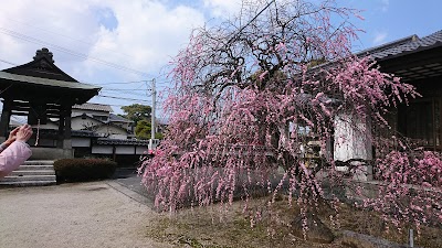 妙善寺
