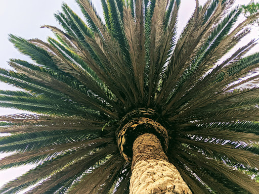 Country Club «Green Valley Country Club», reviews and photos, 35 Country Club Dr, Fairfield, CA 94534, USA