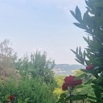 Photo n°6 de l'avis de Hildegard.� fait le 28/06/2023 à 13:40 sur le  Pension Holunderhof à Fränkisch-Crumbach