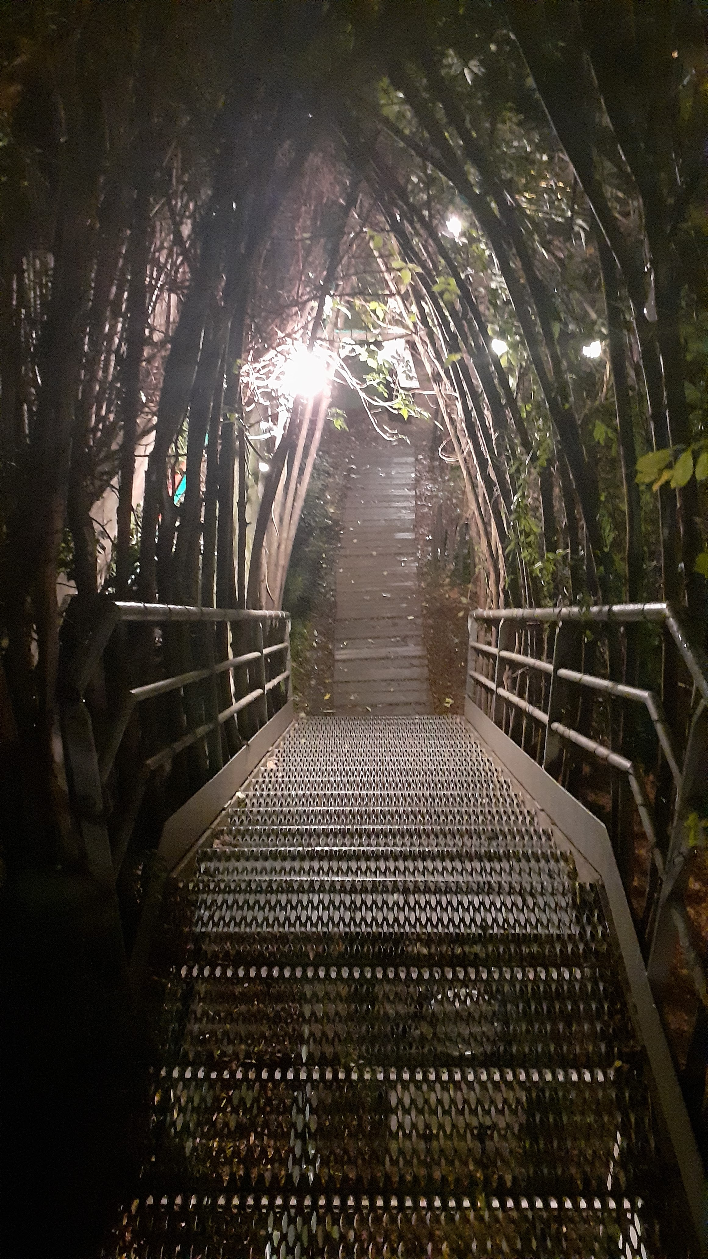 Photo n° 6 de l'avis de ******. fait le 17/12/2019 à 17:39