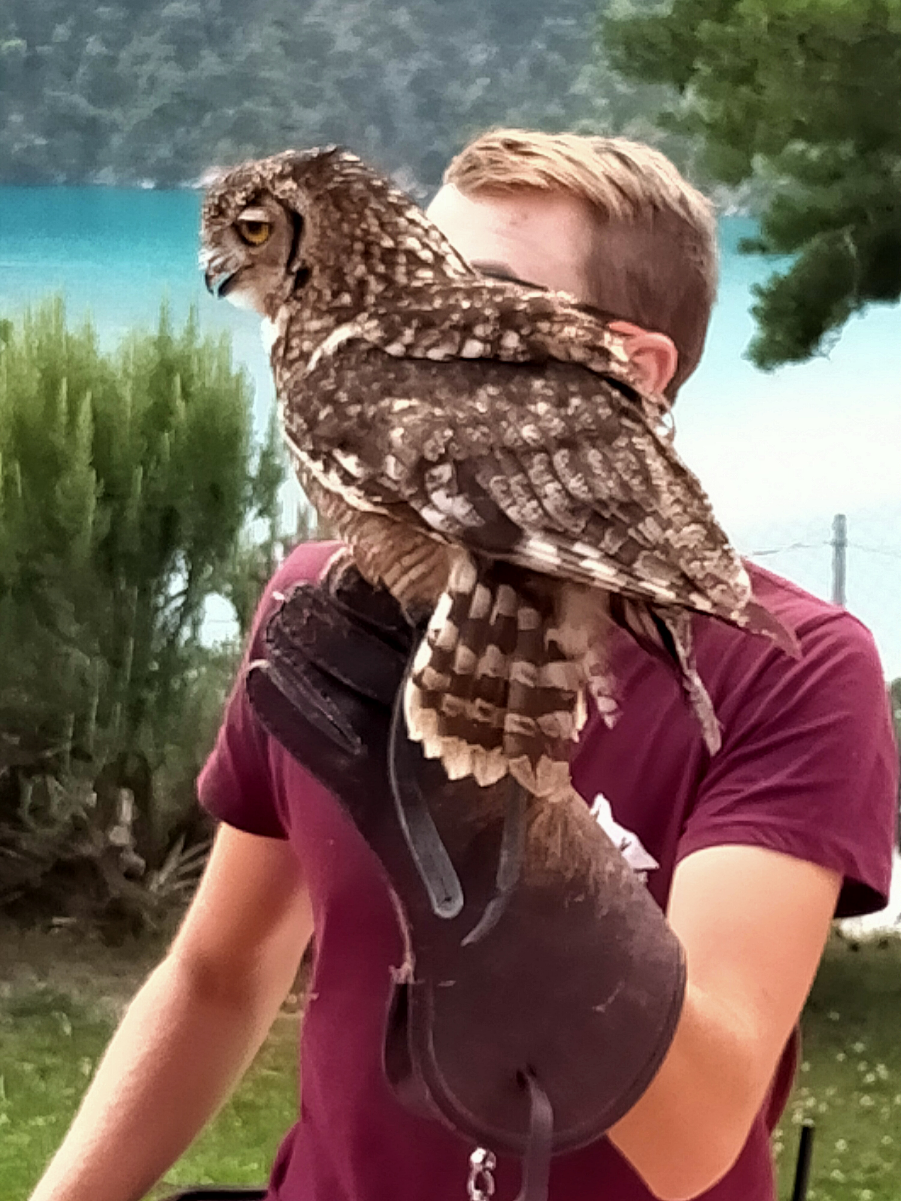 Photo n° 5 de l'avis de Dominique.R fait le 01/08/2021 à 11:27