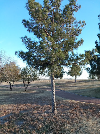 National Park «Chamizal National Memorial», reviews and photos, 800 S San Marcial St, El Paso, TX 79905, USA