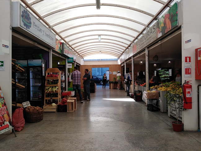 Opiniones de MERCADO SAN PEDRO en San Pedro de La Paz - Centro comercial